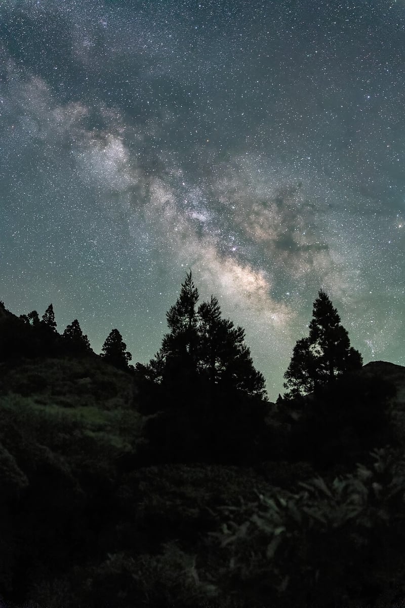 Milky Way Designs